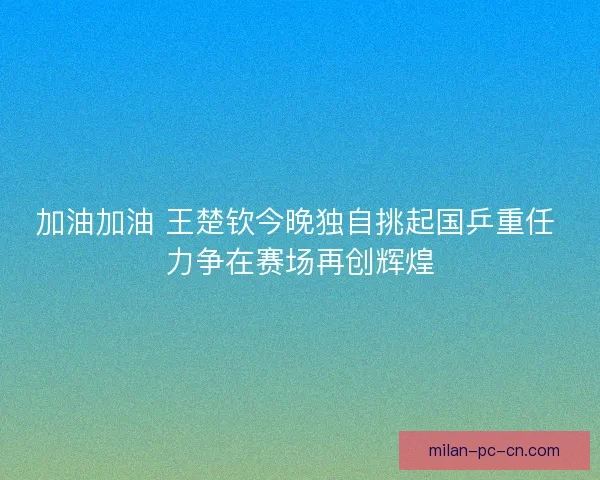 加油加油 王楚钦今晚独自挑起国乒重任 力争在赛场再创辉煌