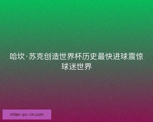 哈坎·苏克创造世界杯历史最快进球震惊球迷世界