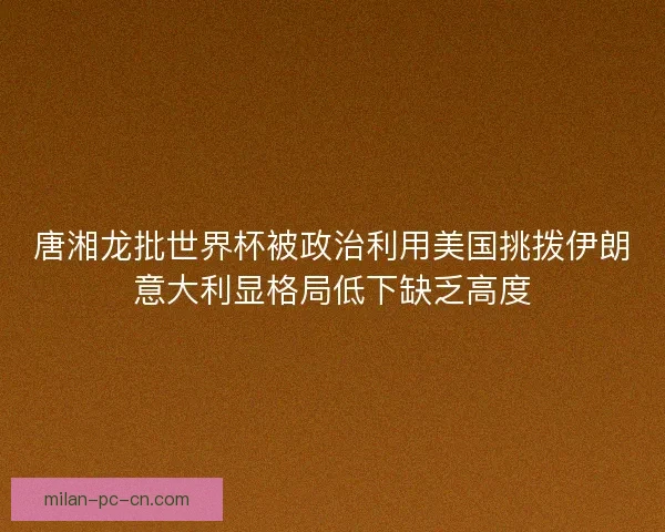 唐湘龙批世界杯被政治利用美国挑拨伊朗意大利显格局低下缺乏高度