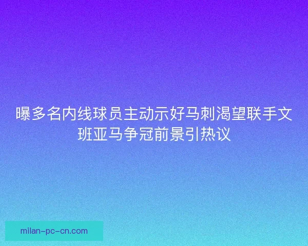 曝多名内线球员主动示好马刺渴望联手文班亚马争冠前景引热议